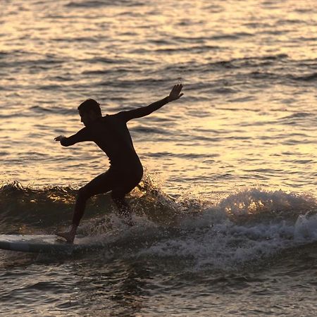 Village Vacances La Foret Des Landes Tarnos Eksteriør billede