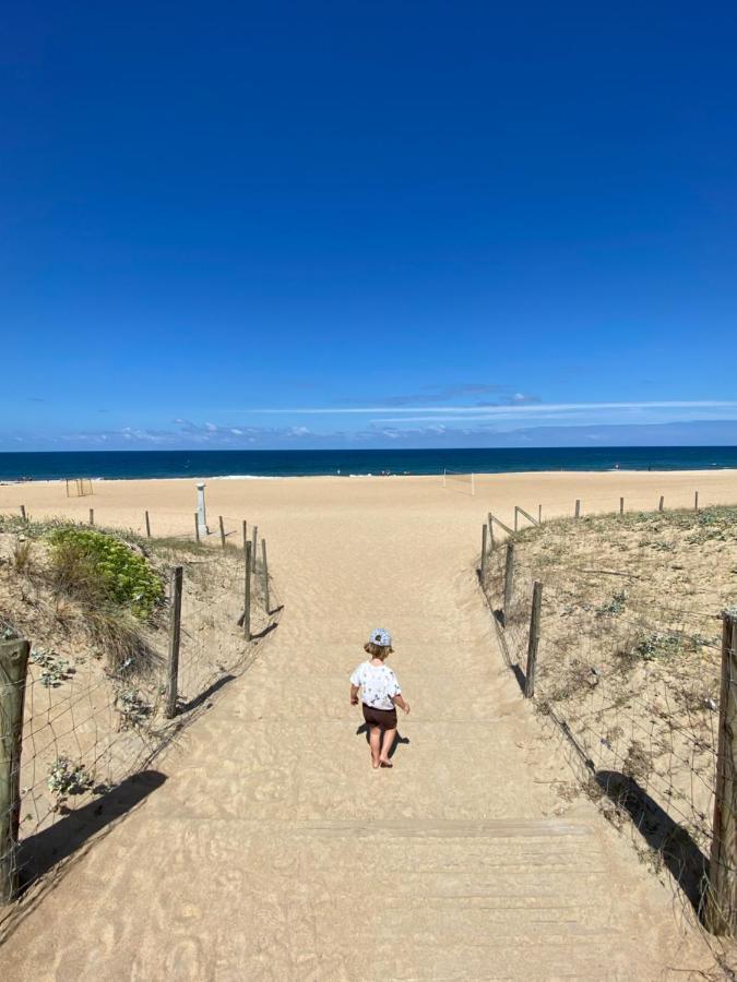 Village Vacances La Foret Des Landes Tarnos Eksteriør billede