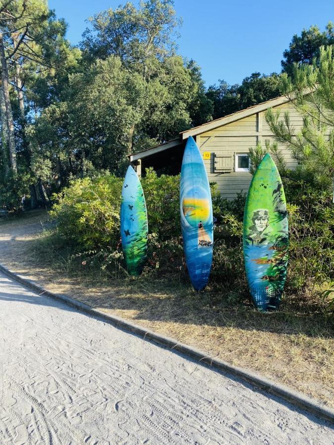 Village Vacances La Foret Des Landes Tarnos Eksteriør billede