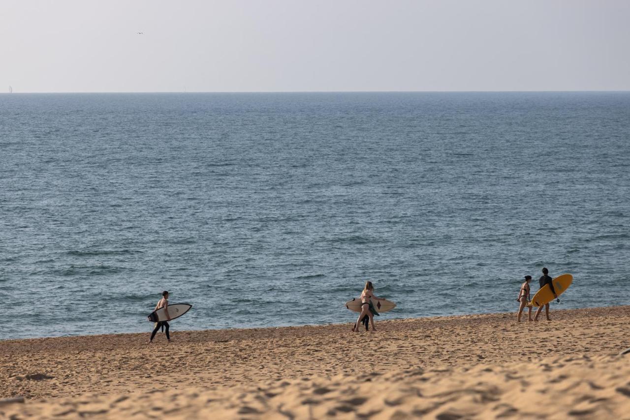 Village Vacances La Foret Des Landes Tarnos Eksteriør billede