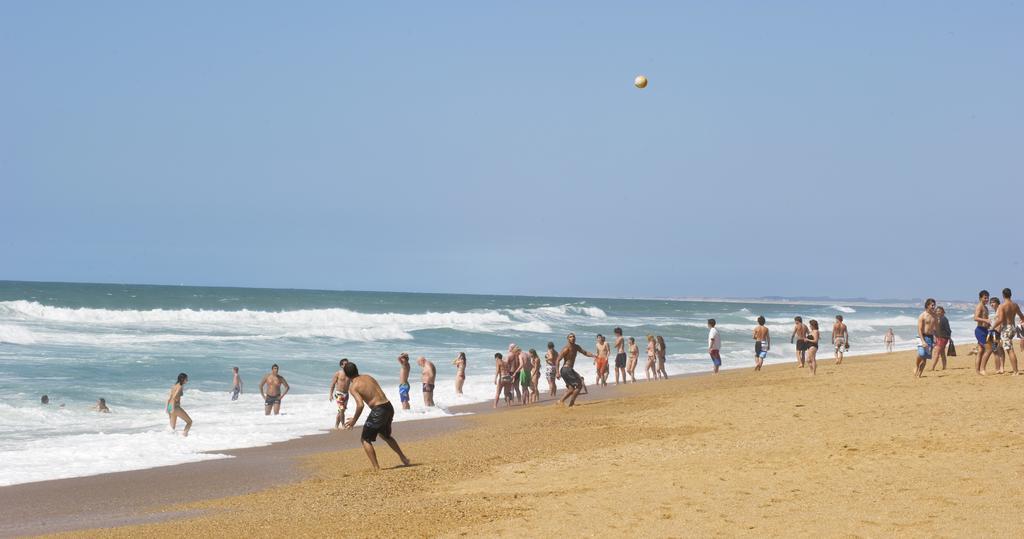 Village Vacances La Foret Des Landes Tarnos Eksteriør billede